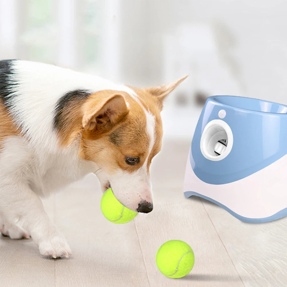 Pawshot automatic dog  ball launcher